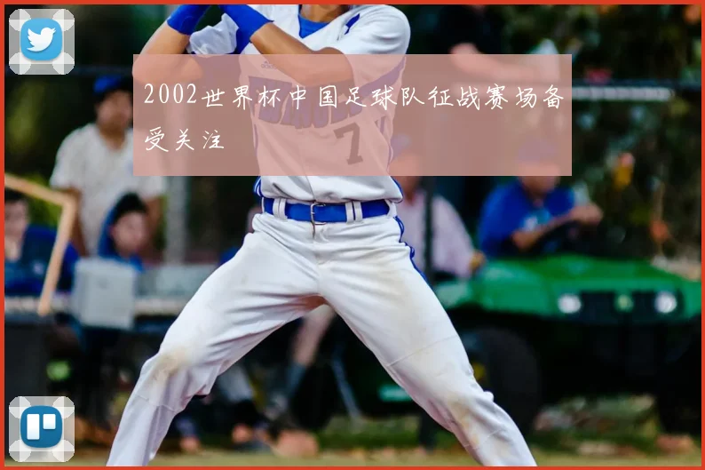 2002世界杯中国足球队征战赛场备受关注