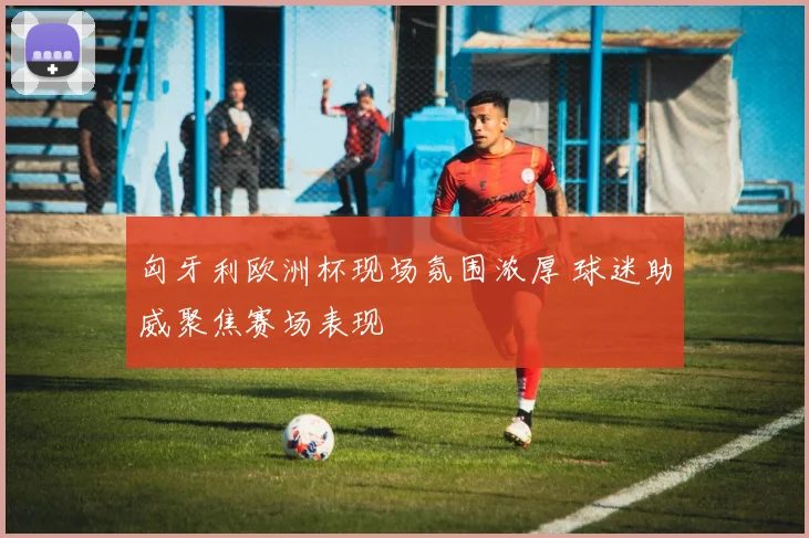 匈牙利欧洲杯现场氛围浓厚 球迷助威聚焦赛场表现