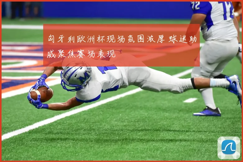 匈牙利欧洲杯现场氛围浓厚 球迷助威聚焦赛场表现