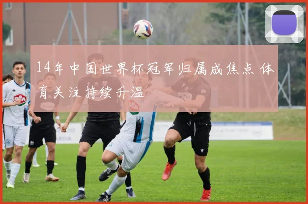14年中国世界杯冠军归属成焦点 体育关注持续升温
